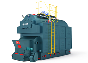 DZL系列生物質(zhì)鍋爐 5.jpg