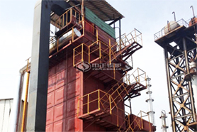 國內最大導熱油鍋爐投入運行！