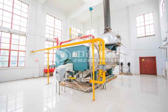 振華汽車(chē)涂裝6噸WNS系列高效節(jié)能燃?xì)庹羝仩t項(xiàng)目