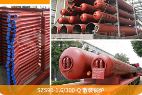 中正鍋爐為確保鍋爐項目順利展，向巴基斯坦提供了專業(yè)的技術指導